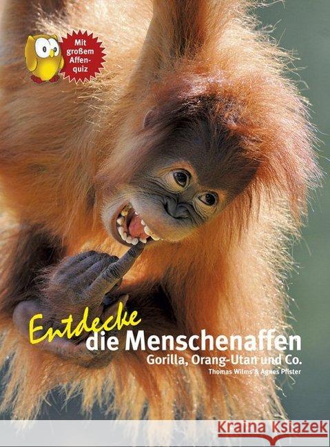 Entdecke die Menschenaffen : Gorilla, Orang-Utan und Co.. Mit großem Affenquiz Wilms, Thomas; Pfister, Agnes 9783866593084