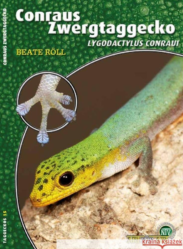 Conraus Zwergtaggecko Röll, Beate 9783866594784 Natur und Tier-Verlag