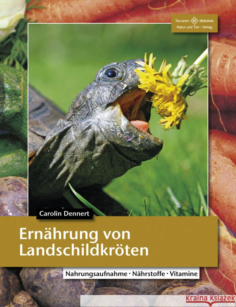 Ernährung von Landschildkröten Dennert, Dr. Carolin 9783866594838 Natur und Tier-Verlag