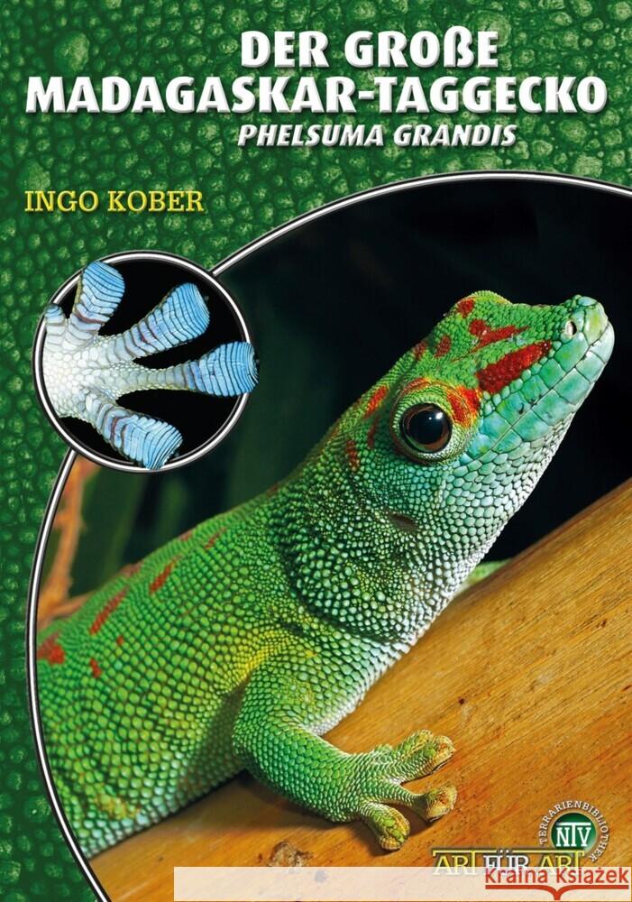 Der Große Madagaskar-Taggecko Kober, Ingo 9783866594913 Natur und Tier-Verlag