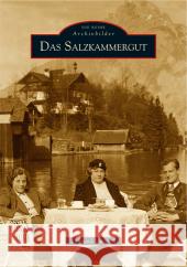 Das Salzkammergut Locicnik, Raimund 9783866800151 Sutton Verlag