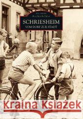 Schriesheim : Vom Dorf zur Stadt Groß, Konstantin   9783866804319 Sutton Verlag