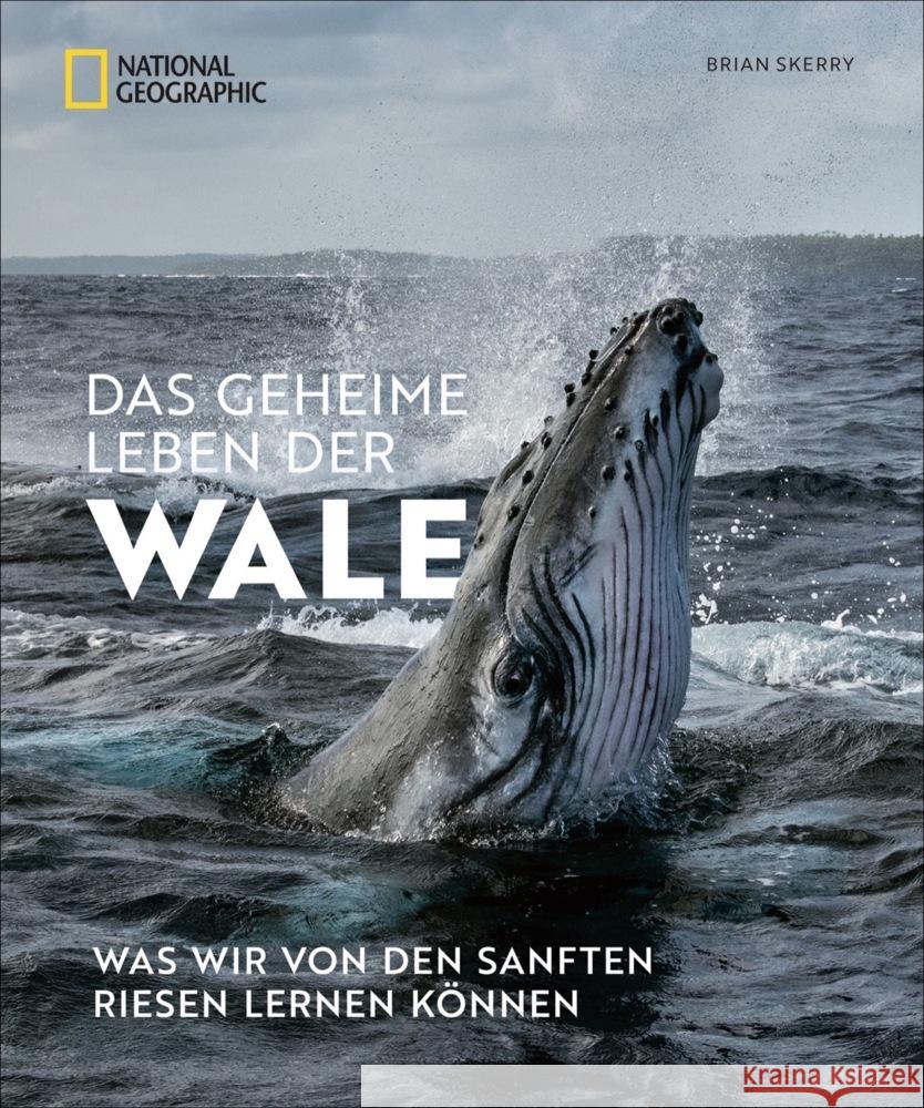 Das geheime Leben der Wale Skerry, Brian 9783866907621 National Geographic Buchverlag