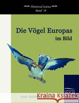 Die Vögel Europas im Bild Fritsch, Anton 9783867411936 Europäischer Hochschulverlag