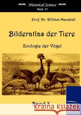 Bilderatlas der Tiere (Band 3) Marshall, William 9783867412001 Europäischer Hochschulverlag