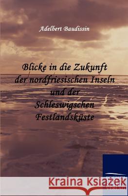 Blicke in die Zukunft der nordfriesischen Inseln und der Schleswigschen Festlandsküste Baudissin, Adelbert 9783867415903 Europäischer Hochschulverlag