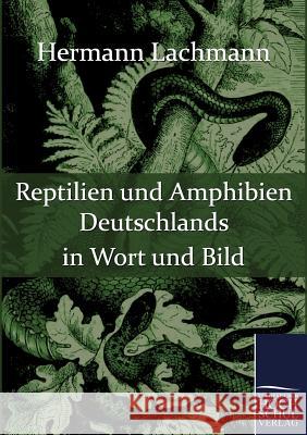 Reptilien und Amphibien Deutschlands in Wort und Bild Lachmann, Hermann 9783867416221