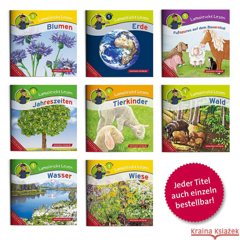 Lamaleicht Lesen Themenset Lesestufe 1, 8 Teile verschiedene 9783867518833