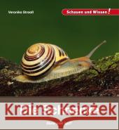 Die Schnecke Straaß, Veronika 9783867607681