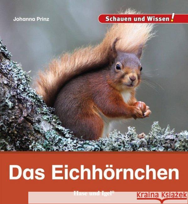 Das Eichhörnchen Prinz, Johanna 9783867609906 Hase und Igel