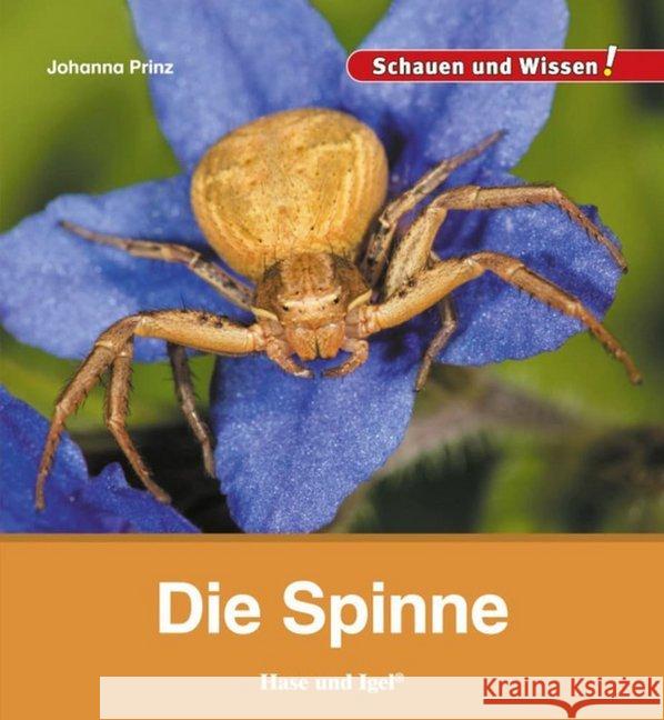 Die Spinne Prinz, Johanna 9783867609982