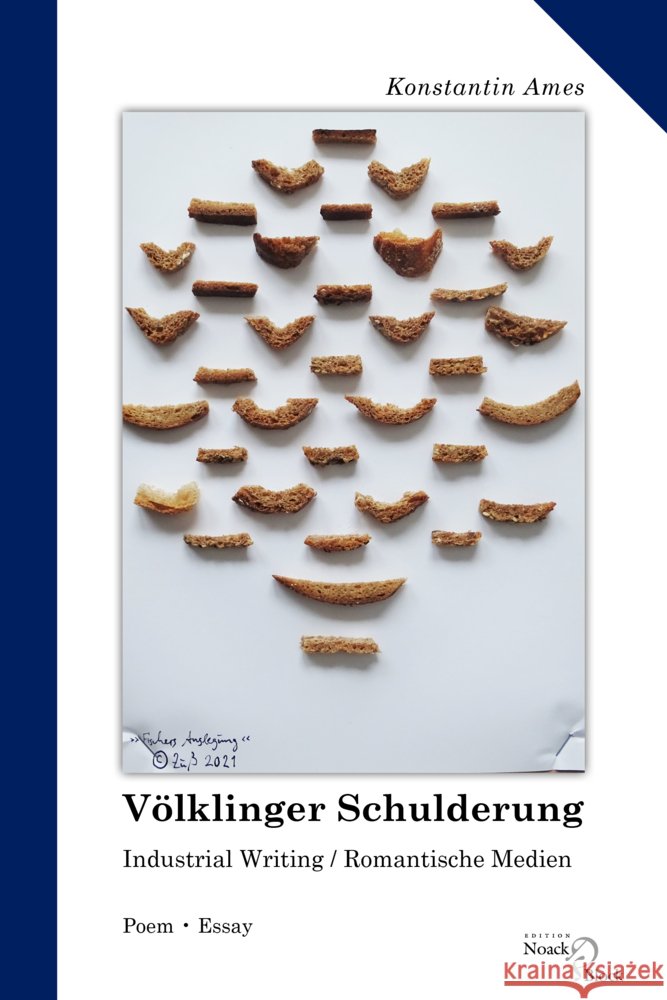 Völklinger Schulderung Ames, Konstantin 9783868132090