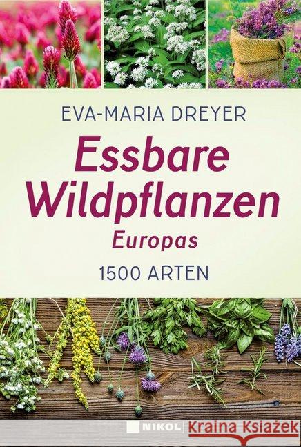 Essbare Wildpflanzen Europas Dreyer, Eva-Maria 9783868205770