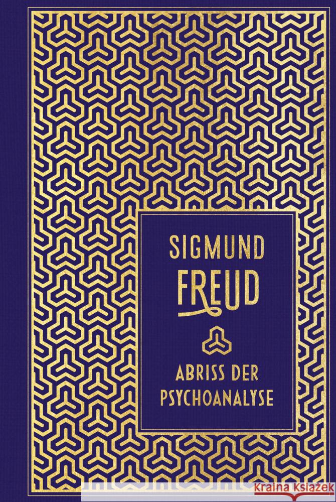 Abriss der Psychoanalyse Freud, Sigmund 9783868206210 Nikol Verlag