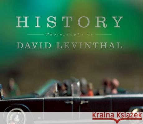 History Lisa Hostetler Dave Hickey David, Photographer Levinthal 9783868285574