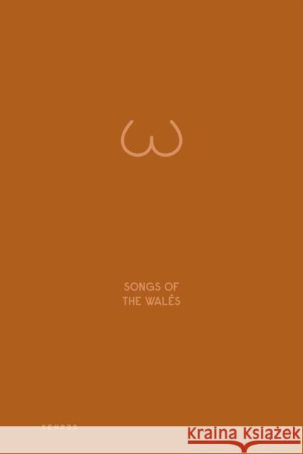 Songs Of The Wales Patrick Willocq 9783868288308 Kehrer Verlag