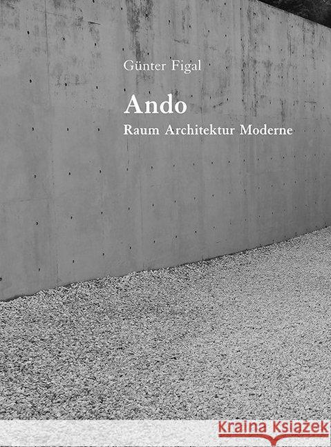 Ando : Raum, Architektur, Moderne Figal, Günter 9783868332209
