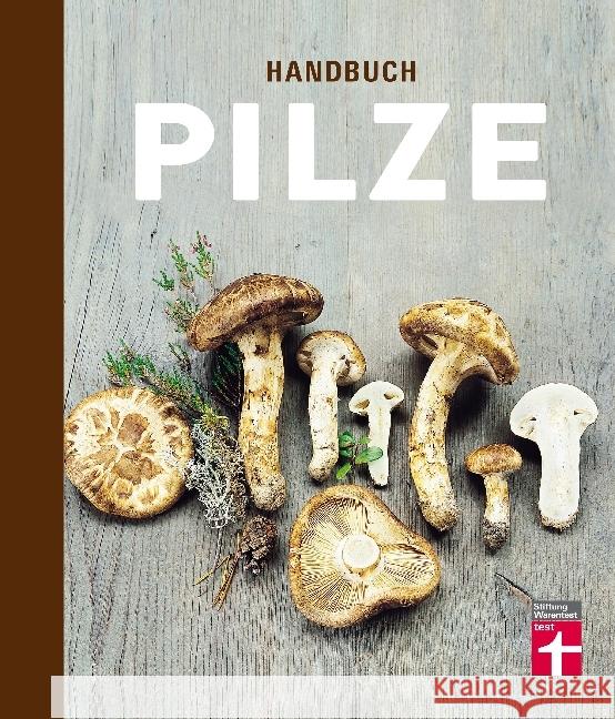 Handbuch Pilze : Was Pilzsammler wissen müssen Holmberg, Pelle; Marklund, Hans 9783868514605