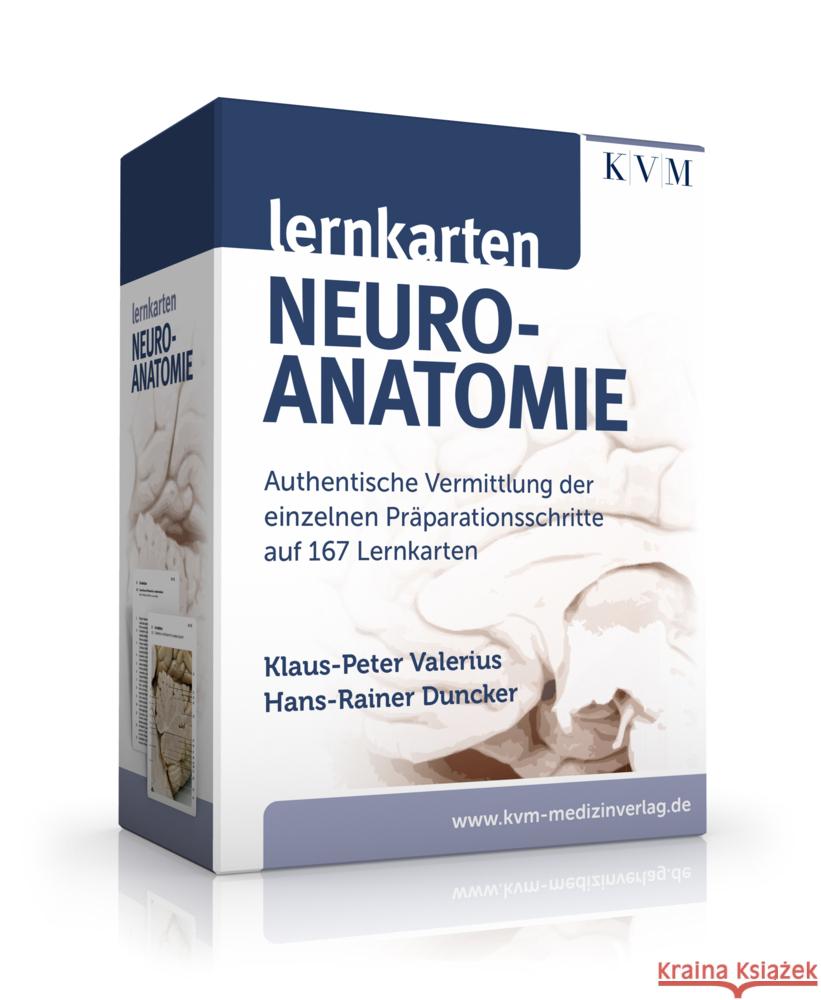 Lernkarten Neuroanatomie Valerius, Klaus-Peter, Duncker, Hans-Rainer 9783868675702