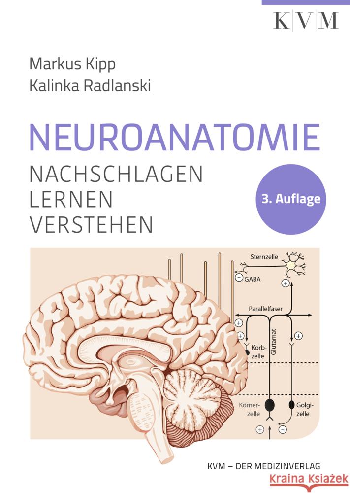 Neuroanatomie Kipp, Markus, Radlanski, Kalinka 9783868675993 Quintessenz, Berlin