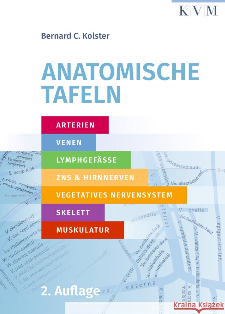 Anatomische Tafeln Kolster, Bernard C. 9783868676655 KVM