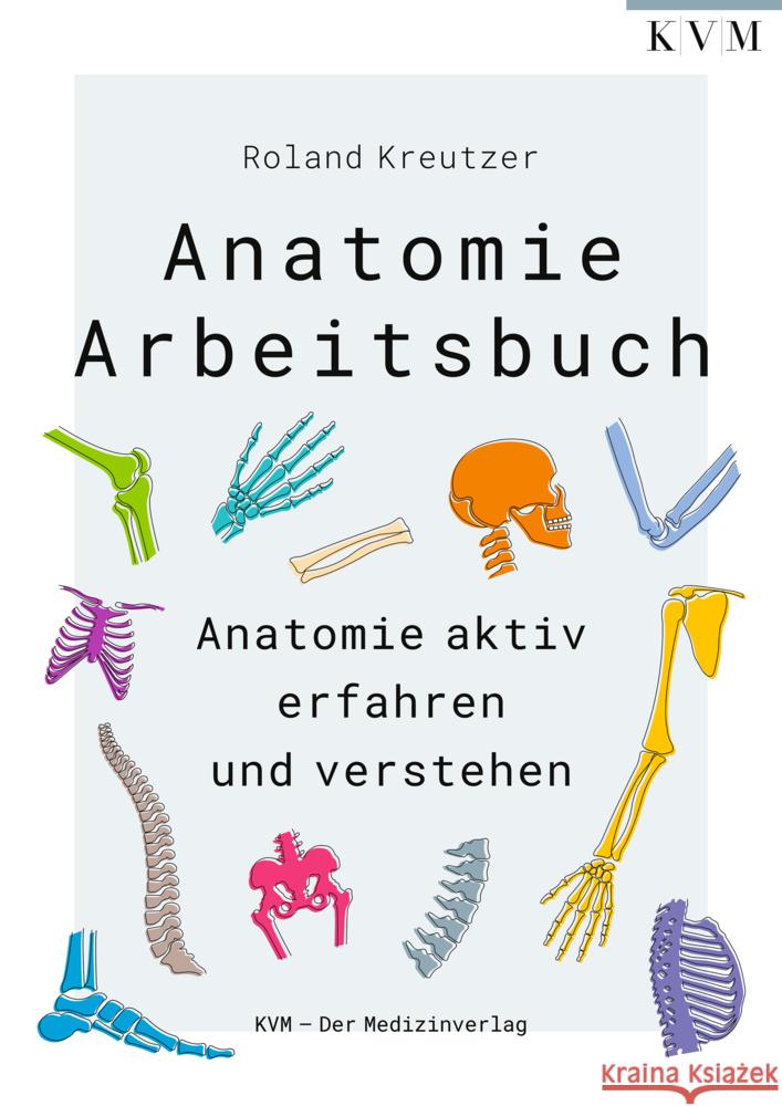 Anatomie-Arbeitsbuch Kreutzer, Roland 9783868677416