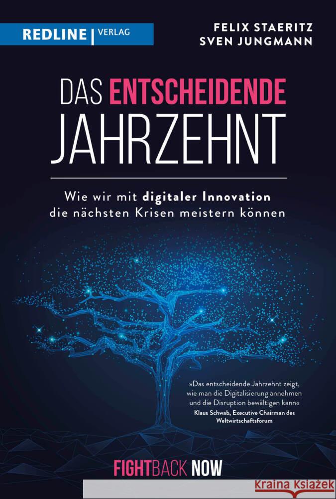 Das entscheidende Jahrzehnt Jungmann, Sven, Staeritz, Felix 9783868818420