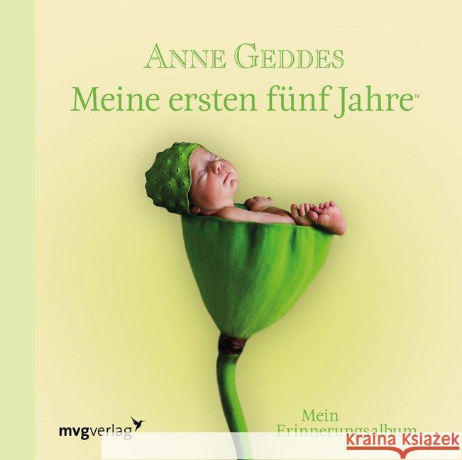 Meine ersten fünf Jahre : Mein Erinnerungsalbum Geddes, Anne 9783868827811