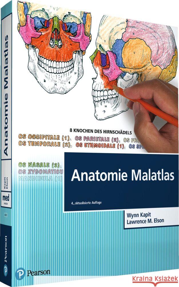 Anatomie Malatlas Kapit, Wynn, Elson, Lawrence M. 9783868944396 Pearson Studium