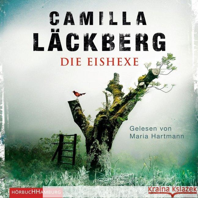 Die Eishexe, 2 MP3-CDs : 2 CDs, Lesung. MP3 Format. Gekürzte Ausgabe Läckberg, Camilla 9783869092423 Hörbuch Hamburg