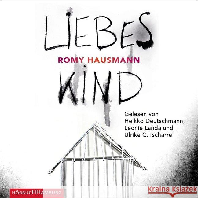 Liebes Kind, 2 Audio-CD, MP3 Hausmann, Romy 9783869092751 Hörbuch Hamburg