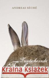 Zwitschernde Fische : Roman Séché, Andreas 9783869131061 ars vivendi