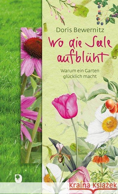 Wo die Seele aufblüht : Warum ein Garten glücklich macht Bewernitz, Doris 9783869176031 Eschbach