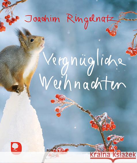 Vergnügliche Weihnachten Ringelnatz, Joachim 9783869178233