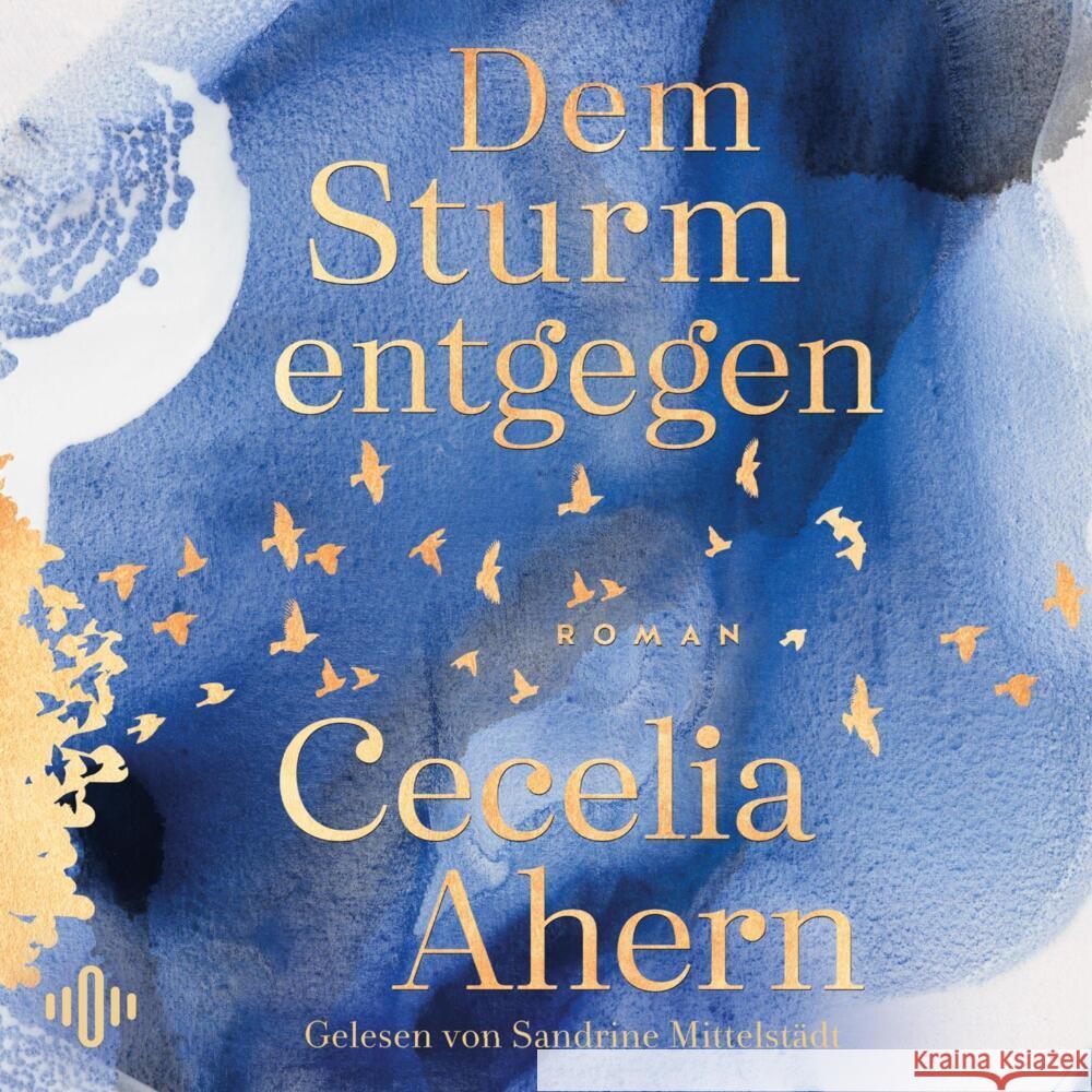 Dem Sturm entgegen, 2 Audio-CD, 2 MP3 Ahern, Cecelia 9783869525570