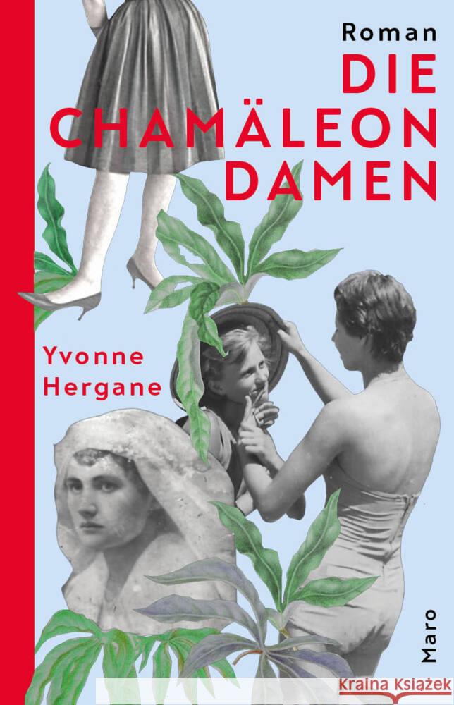 Die Chamäleondamen Hergane, Yvonne 9783875124934