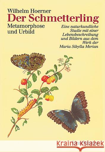 Der Schmetterling : Metamorphose und Urbild. Eine naturkundliche Studie mit einer Lebensbeschreibung und Bildern aus dem Werk der Maria Sibylla Merian Hoerner, Wilhelm 9783878389132 Urachhaus