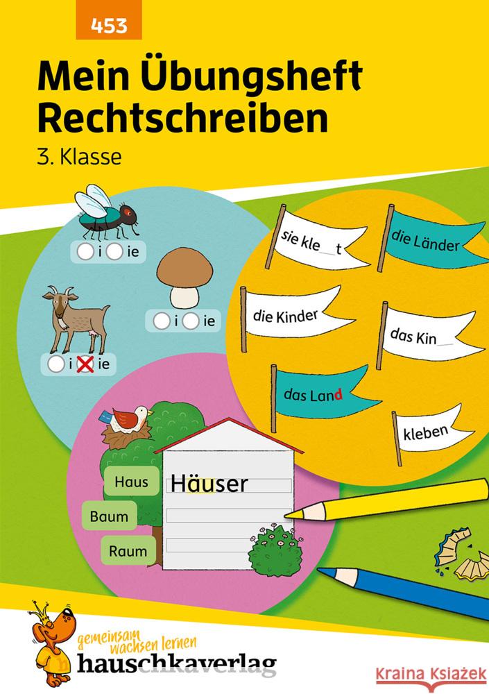 Mein Übungsheft Rechtschreiben 3. Klasse, A5-Heft Weideneder, Christine 9783881004534 Hauschka