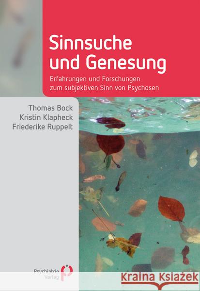 Sinnsuche und Genesung : Erfahrungen und Forschungen zum subjektiven Sinn von Psychosen Bock, Thomas; Klapheck, Kristin; Ruppelt, Friederike 9783884145777 Psychiatrie-Verlag