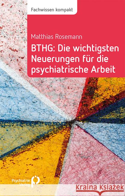 BTHG: Die wichtigsten Neuerungen für die psychiatrische Arbeit Rosemann, Matthias 9783884146989