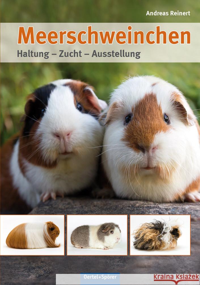 Meerschweinchen : Haltung - Zucht - Ausstellung Reinert, Andreas 9783886273218 Oertel & Spörer