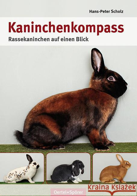 Kaninchen-Kompass : Rassekaninchen auf einen Blick Scholz, Hans-Peter 9783886277636