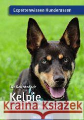 Kelpie : Australian und Working Kelpie Reichenbach, Uta 9783886278411 Oertel & Spörer