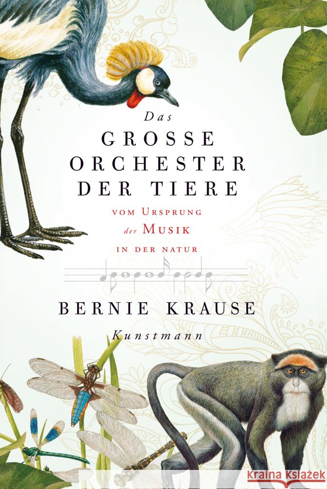 Das grosse Orchester der Tiere : Vom Ursprung der Musik in der Natur Krause, Bernie 9783888978708 Verlag Antje Kunstmann GmbH