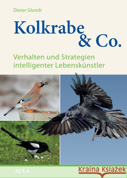 Kolkrabe & Co. : Verhalten und Strategien intelligenter Lebenskünstler Glandt, Dieter 9783891047859 Aula