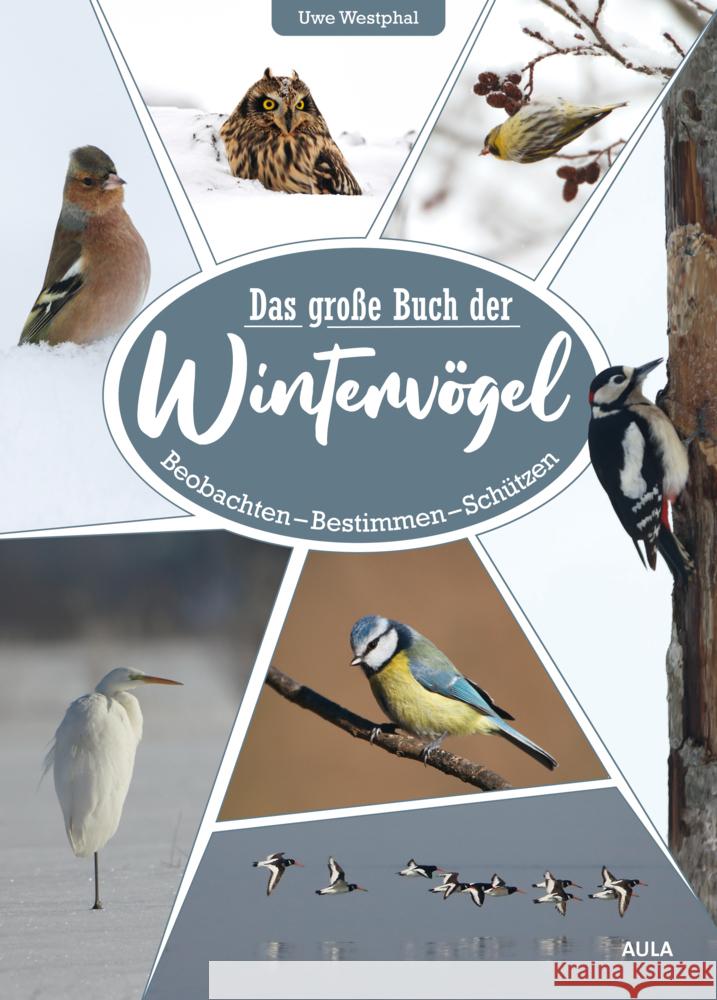 Das große Buch der Wintervögel Westphal, Uwe 9783891048405 Aula