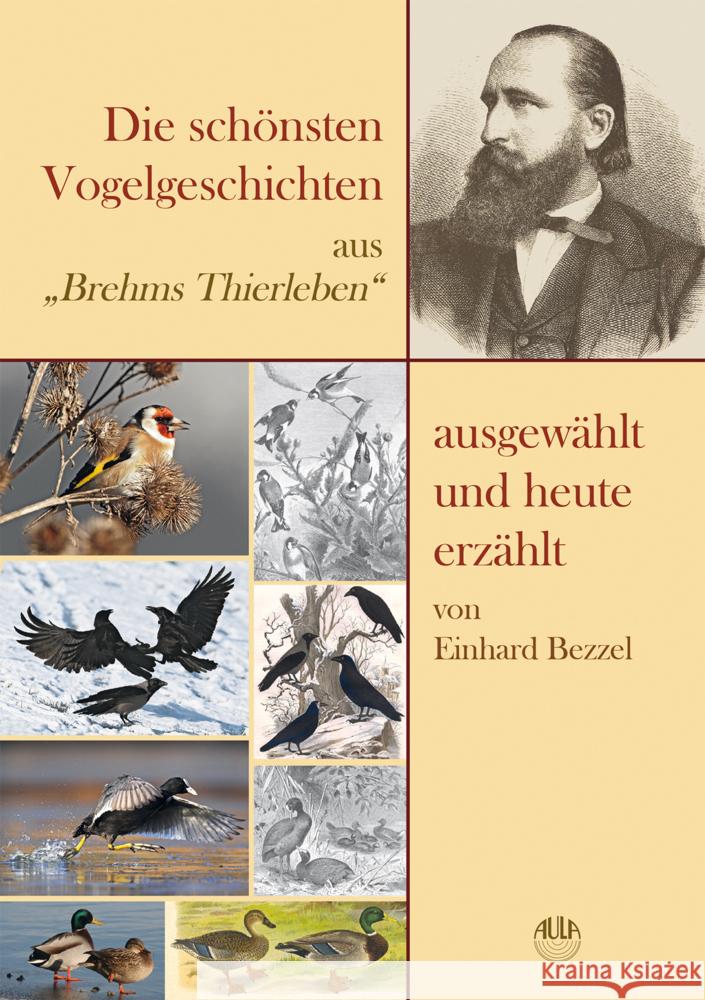 Die schönsten Vogelgeschichten aus 