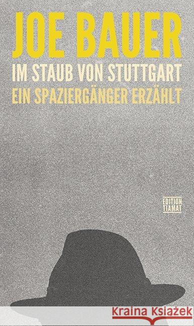 Im Staub von Stuttgart : Ein Spaziergänger erzählt Bauer, Joe 9783893202348