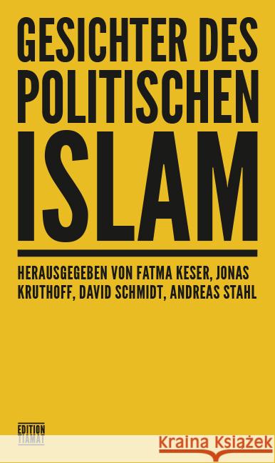 Gesichter des politischen Islam Becker, Ulrike, Mettler, Miriam, Piecha, Oliver 9783893203093 Edition Tiamat