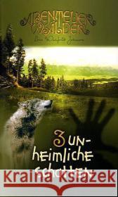 Unheimliche Schatten Johnson, Lois W.   9783893975938 CLV